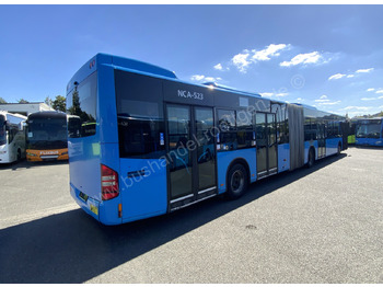 Articulated bus Mercedes-Benz Conecto G: picture 5
