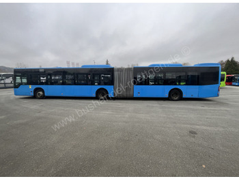 Articulated bus Mercedes-Benz Conecto G: picture 5