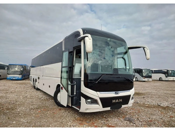 MAN Lion's Coach leasing MAN Lion's Coach: picture 1