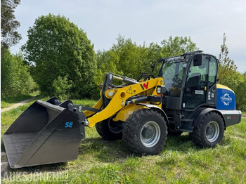 Wheel loader 2023 Wacker Neuson WL70 hjullaster / Skuffe / Pallegafler: picture 2
