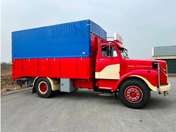 Truck Scania L 80 Super total renovation: picture 3
