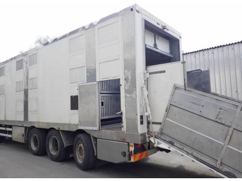 Livestock truck MAN TGX 35.540 8X4 TRIDEM ANIMAL: picture 5