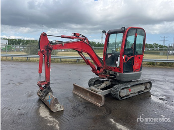 Mini excavator JCB 8025