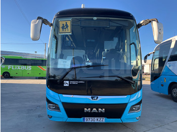 Coach Man Lion's Coach: picture 2