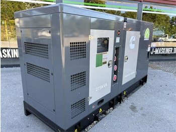Cummins Leroy Somer 275 kva  leasing Cummins Leroy Somer 275 kva: picture 4