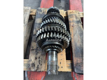 Gearbox and parts for Truck IVECO ZF 6S1000 Eurocargo Daf Man   IVECO ZF 6S1000 Iveco Eurocargo Daf Man: picture 4