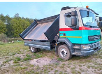 DAF LF 55.220 leasing DAF LF 55.220: picture 5