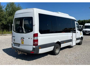 Minibus, Passenger van Mercedes-Benz Sprinter 2008: picture 3
