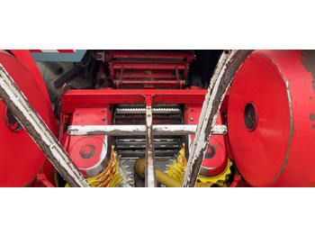 Forage harvester MENGELE TRINCIA SF 6000: picture 5