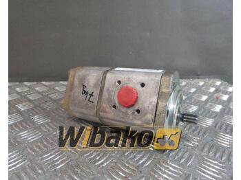 Hydraulic pump