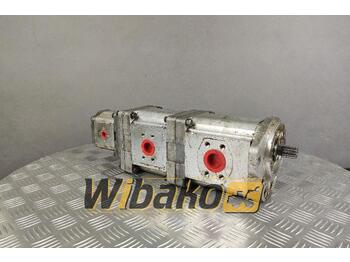 Hydraulic pump