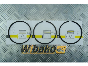 Piston/ Ring/ Bushing