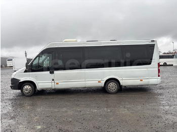 Minibus, Passenger van Iveco Daily: picture 5 Minibus, Passenger van Iveco Daily: picture 5