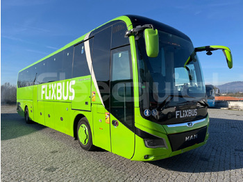 Coach MAN Lion's Coach