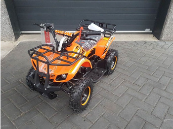 ATV/ Quad