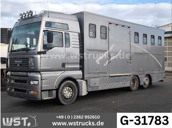 Horse truck MAN TGA 26.480