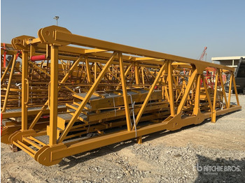 Tower crane 2024 XCMG QTZ250 XGT7022-12S 12 ton Tower Crane: picture 3