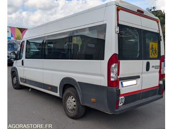Bus Fiat Ducato: picture 3