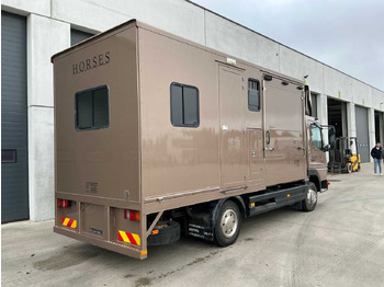 Truck 2000 MERCEDES-BENZ 815 HORSE TRUCK: picture 5