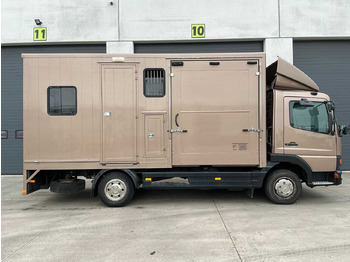 Truck 2000 MERCEDES-BENZ 815 HORSE TRUCK: picture 4