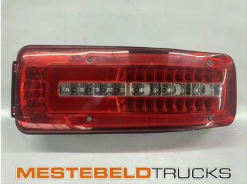 Electrical system DAF