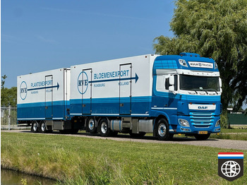 Refrigerator truck DAF XF 460