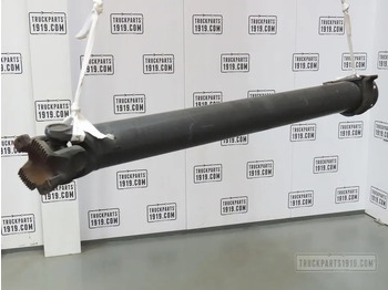 Drive shaft DAF