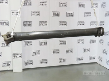 Drive shaft DAF