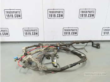 Cables/ Wire harness DAF