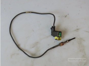 Sensor DAF