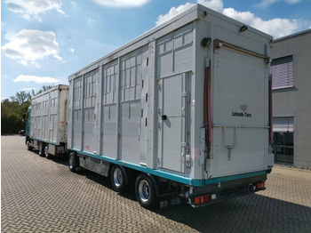 DAF XF 105.460 - Animal transporter + trailer leasing DAF XF 105.460 - Animal transporter + trailer: picture 4