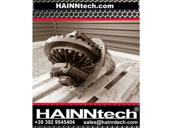 Differential gear DAF