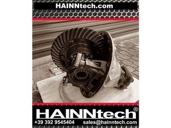 Differential gear DAF