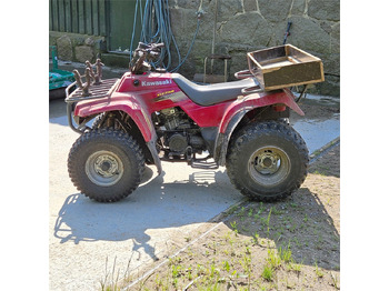 ATV/ Quad Kawasaki KLF 250: picture 2
