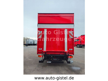 MAN TGL 12.250 4x2 BL *Pritsche/Plane Dautel DL2000S  leasing MAN TGL 12.250 4x2 BL *Pritsche/Plane Dautel DL2000S: picture 5