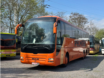 Coach MAN Lion's Coach