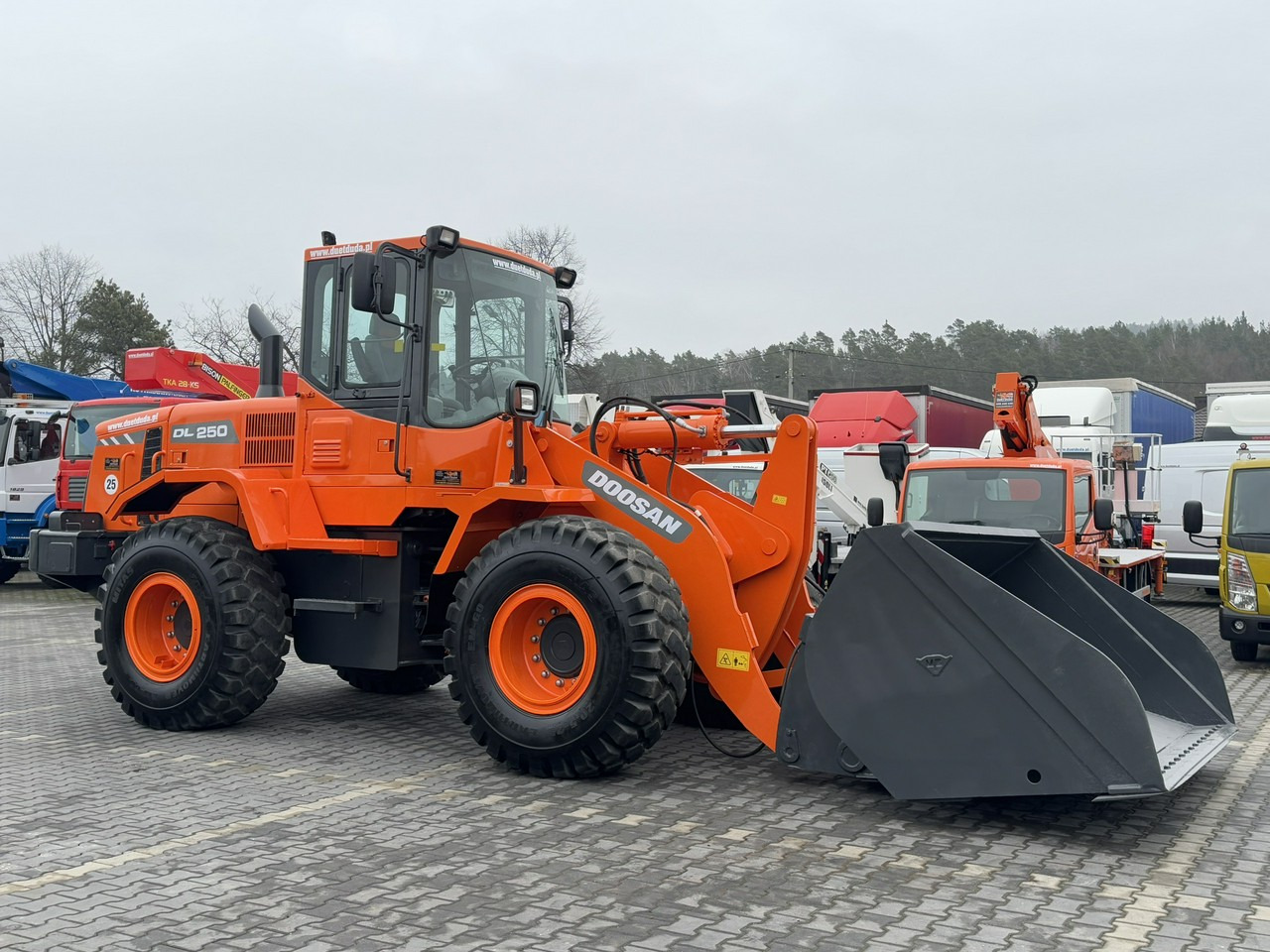 Wheel loader Doosan DL250 14,5Ton Łyżka Wysokiego Wysypu !!!: picture 9