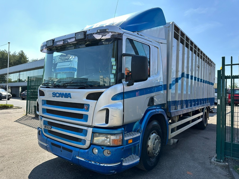 Scania P310 4x2 LIVESTOCK / VEEWAGEN / TIERTRANSPORT / BETAILLERE - ALU BOX 7m - MANUAL - A/C - BELGIAN TRUCK - Livestock truck: picture 3 Scania P310 4x2 LIVESTOCK / VEEWAGEN / TIERTRANSPORT / BETAILLERE - ALU BOX 7m - MANUAL - A/C - BELGIAN TRUCK - Livestock truck: picture 3