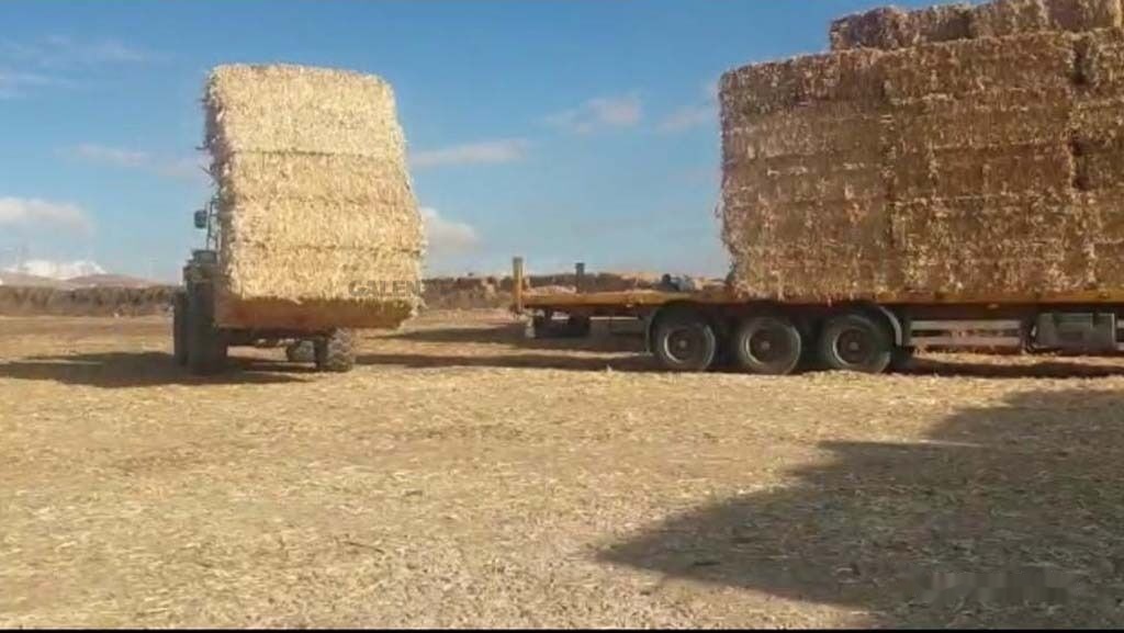 New Forks for Agricultural machinery Galen Loader Bale Spear Attachment: picture 7