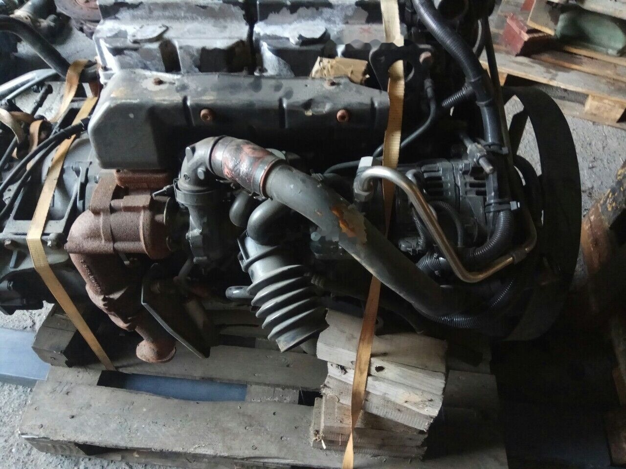 MAN D0834LFL03 D0834LFL01 MAN tgl l2000 - Engine for Truck: picture 5 MAN D0834LFL03 D0834LFL01 MAN tgl l2000 - Engine for Truck: picture 5