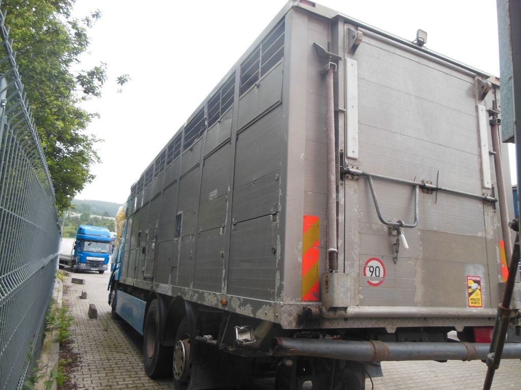 DAF XF 106.460, MENKE-JANZEN, UNFALL-FAHRBAR!! - Livestock truck: picture 4 DAF XF 106.460, MENKE-JANZEN, UNFALL-FAHRBAR!! - Livestock truck: picture 4