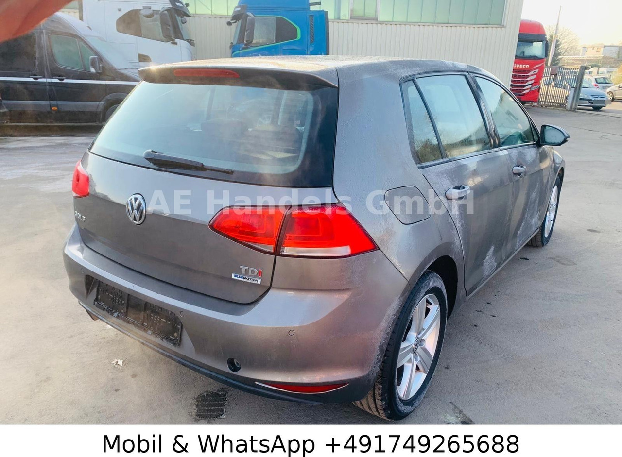 Volkswagen Golf VII Comfortline 1.6TDI 81KW DSG *Business - Sedan: picture 4 Volkswagen Golf VII Comfortline 1.6TDI 81KW DSG *Business - Sedan: picture 4