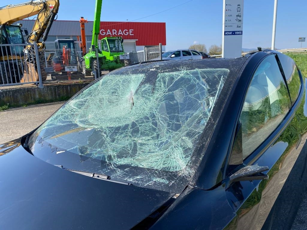 Sedan Tesla Model Y RWD/Origine Française endommagée: picture 12