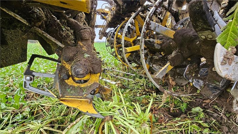 Ropa Tiger 6S Tiger 6 S - Beet harvester: picture 4 Ropa Tiger 6S Tiger 6 S - Beet harvester: picture 4