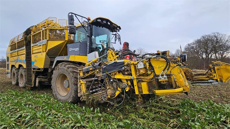 Ropa Tiger 6S Tiger 6 S - Beet harvester: picture 1 Ropa Tiger 6S Tiger 6 S - Beet harvester: picture 1