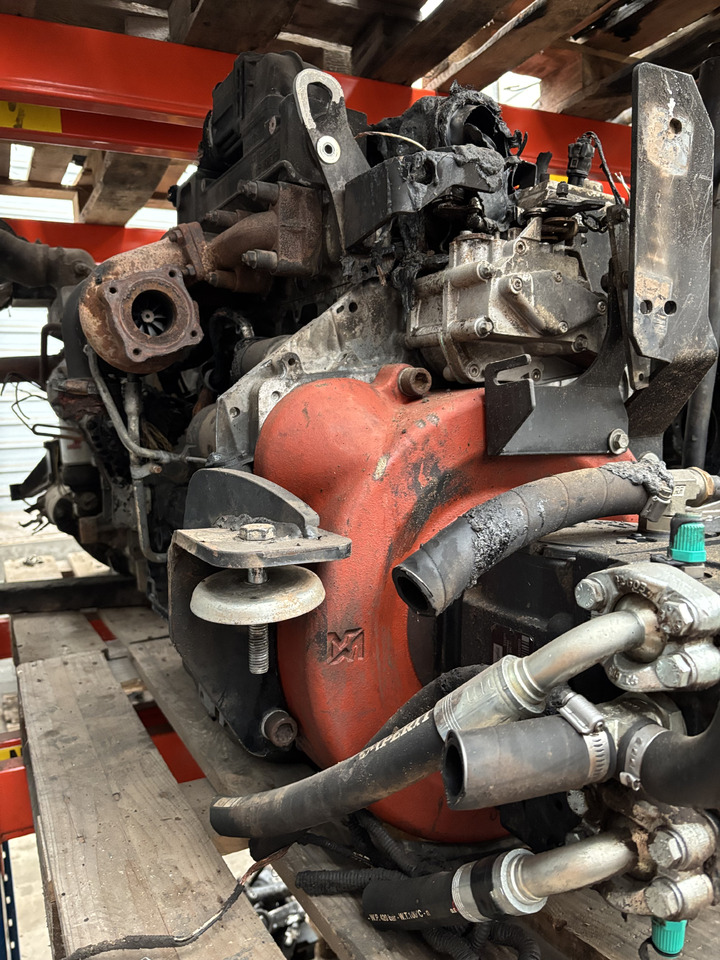 Merlo P 34.7 Silnik Blok Pompa Kolektor Wał Miska CZĘŚCI - Engine and parts for Construction machinery: picture 2 Merlo P 34.7 Silnik Blok Pompa Kolektor Wał Miska CZĘŚCI - Engine and parts for Construction machinery: picture 2