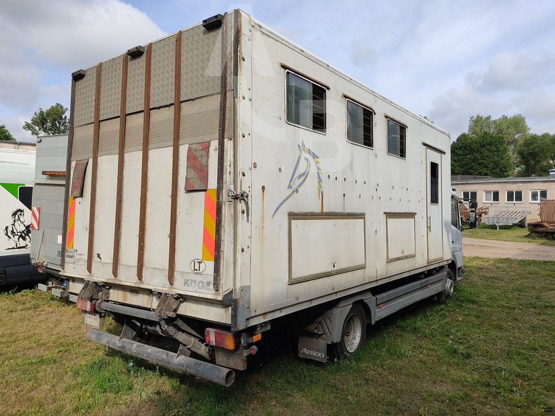 Mercedes-Benz 815 - Horse truck: picture 4 Mercedes-Benz 815 - Horse truck: picture 4