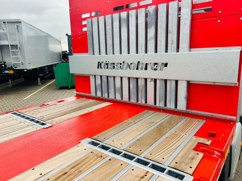 Kässbohrer SPS Mega Schwerlast Plattform  leasing Kässbohrer SPS Mega Schwerlast Plattform: picture 10