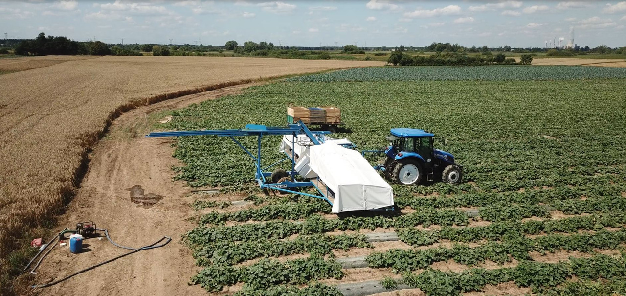 AGRO-LIFT Kombajn do ogórków - Harvester: picture 5 AGRO-LIFT Kombajn do ogórków - Harvester: picture 5