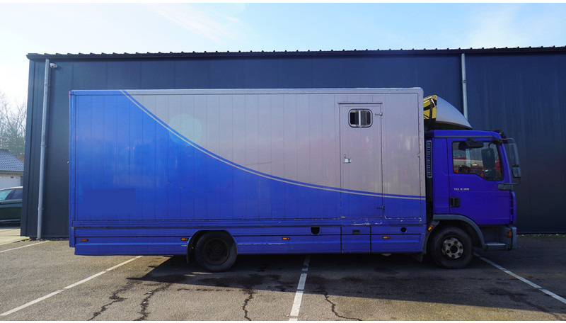 MAN TGL 8.180 HORSE TRANPORT 515.000KM - Horse truck: picture 2 MAN TGL 8.180 HORSE TRANPORT 515.000KM - Horse truck: picture 2